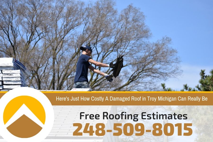 Signs That It Is Time To Replace Your Roof in Troy Michigan