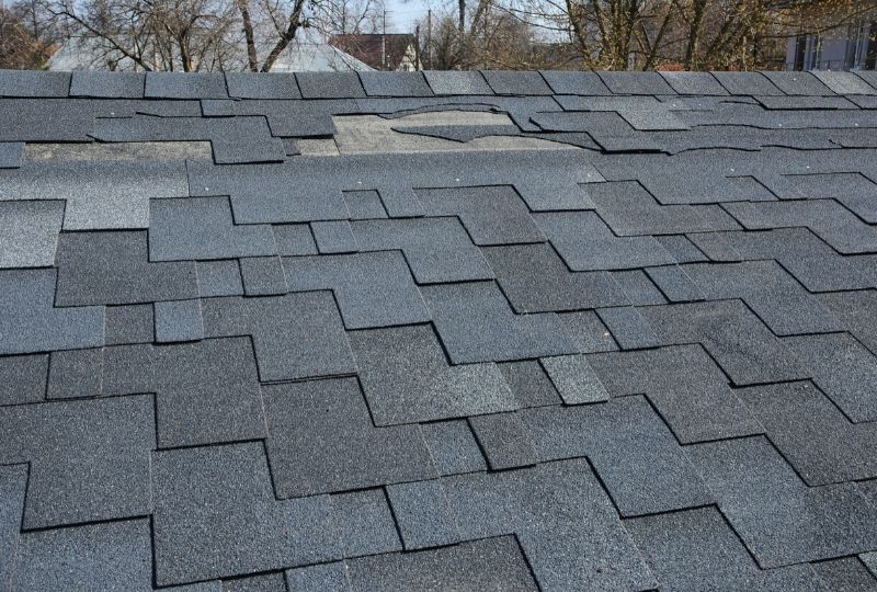 Tips to Choose the Right Roofing Contractor in Troy Michigan for Your Repairs and Inspections