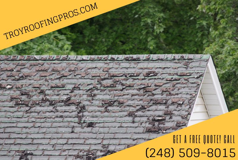 Tips for Maximizing the Longevity of Your Home's Roof in Troy Michigan